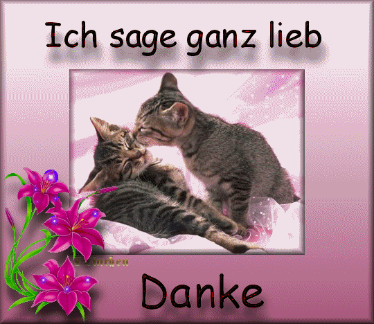 Dieses eingebundene Bild ist leider nicht verf&uuml;gbar