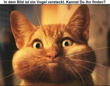 [verlinkte Grafik wurde nicht gefunden]
